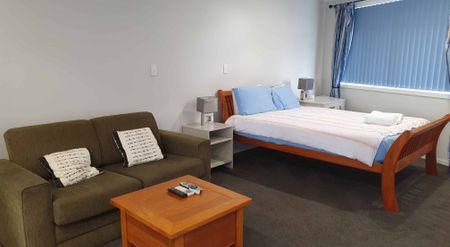 Fully Furnished Studio-Style Living - Photo 2