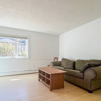 1 bed 1 bath in Mount Pleasant - Photo 4