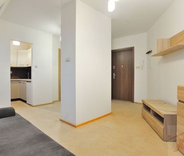 Kawalerka świeżo po remoncie (437392) - Zdjęcie 4