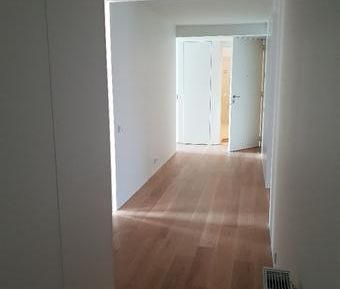 Apartamento T3 - Photo 4