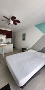 Location Appartement 1 pièce 19m² - Photo 3