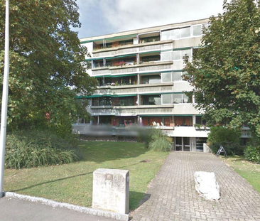 heimelige Wohnung mit Balkon an ruhiger Lager - Photo 3