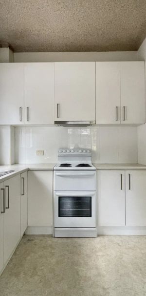 Conveniently Located Elevated Ground Floor Apartment - Photo 1
