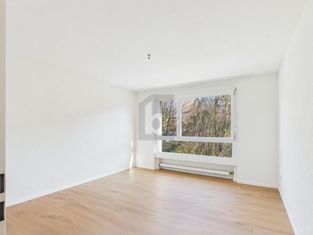 LIGHT-FLOODED WITH A VIEW OF THE NATURE - Photo 5