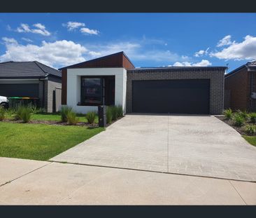 3 Fyne Close, St Andrews, NSW 2566 - Photo 3