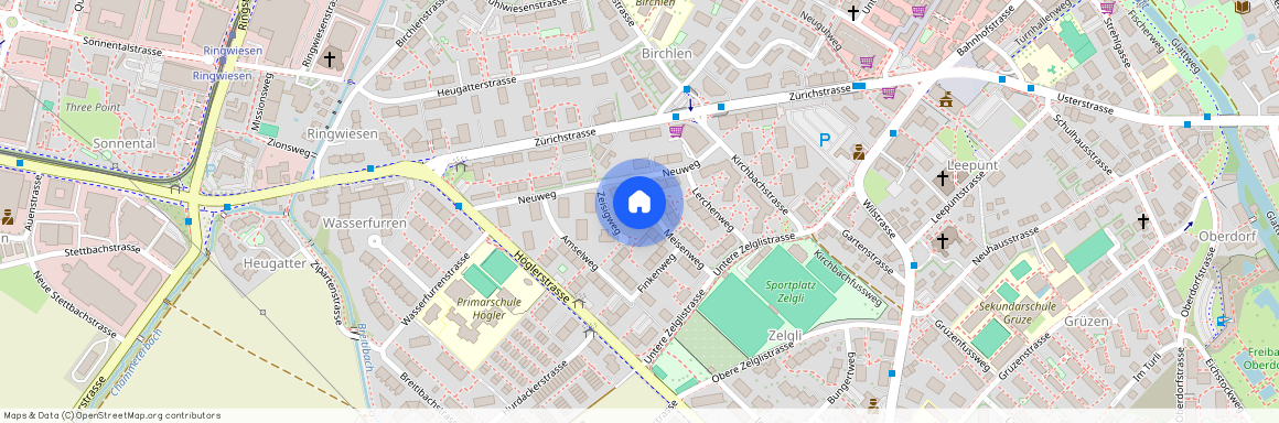 Zeisigweg 3, 8600 Dübendorf