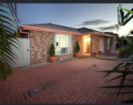 Manly West - Photo 4