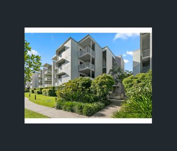 8 Starling, Buderim, Qld 4556 - Photo 1