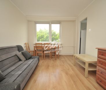 2 pokoje z balkonem, wynajem, SZCZECIN Świerczewo - Photo 4