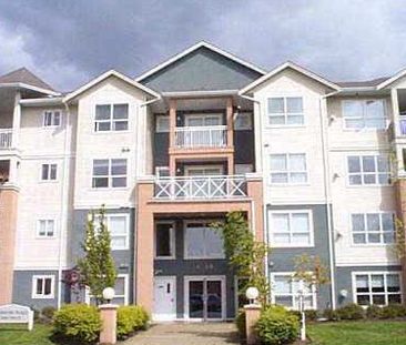 Immaculate Ground Floor One Bedroom with Parking and Storage - Photo 6