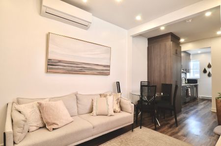 Condo for rent, Montréal (Le Plateau-Mont-Royal) - Photo 3