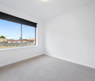 Renovated Three Bedroom Home - Photo 3