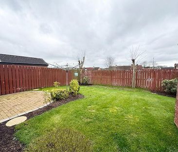 15 Roes Green, Lawrencetown, Banbridge, BT63 6EX - Photo 5