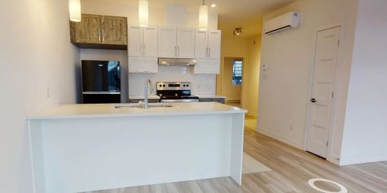36 Rue Marjorie-D.-Shackleton (Plateau) Tout Inclus 4 1/2 - Photo 3