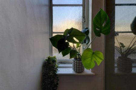 2 BED Apartment To rent - Photo 3