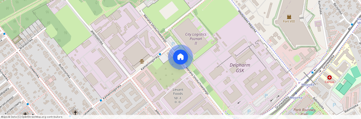 ul. Mariana Smoluchowskiego, Junikowo, Grunwald, Poznań, wielkopolskie