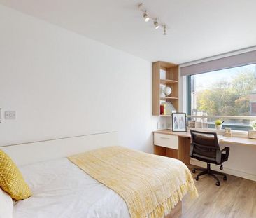 Flat share to rent - Photo 4