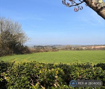 3 bedroom semi-detached house to rent - Photo 6