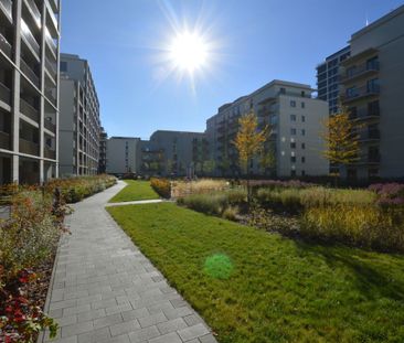 Warszawa, Praga-Północ, Warszawa, Praga-Północ, Jagiellońska - Photo 3