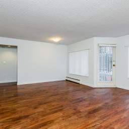 HUGE 1BR AVAILABLE OCTOBER 1ST(FALSE CREEK ) - Photo 2