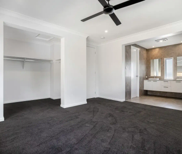 Beauty With The WOW Factor - Photo 6