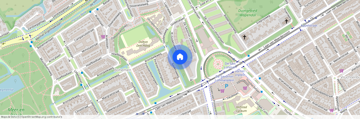 Bohemen en Meer en Bos, 2555 RN, Den Haag