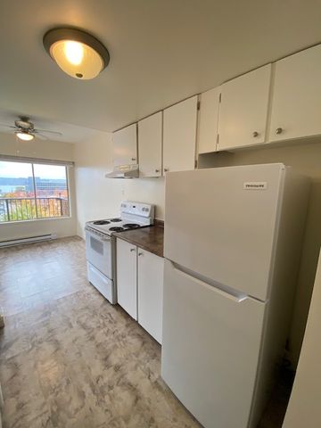 Terrace View Apartments - A28 - Photo 4