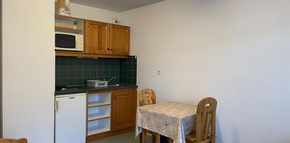 Location Appartement 1 pièce Meublé 18m² LE BOURGET DU LAC 73370 - Photo 2