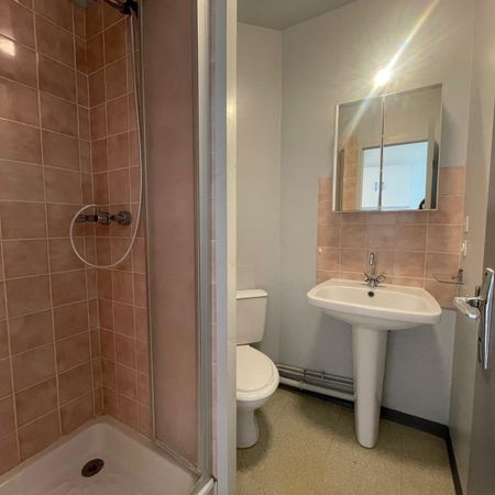 Location Appartement 1 pièce 16m² CHAMBRAY LES TOURS 37170 - Photo 3