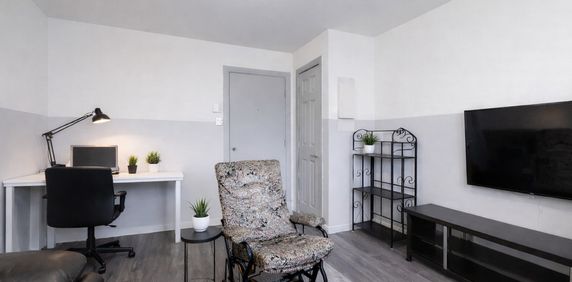 STUDIO LIBRE EN OCTOBRE 2026 -LIMOILOU - Photo 2