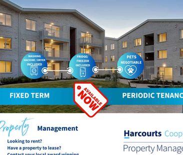 Cute, Light 2 bedroom 2 bathroom Apartment - Photo 4