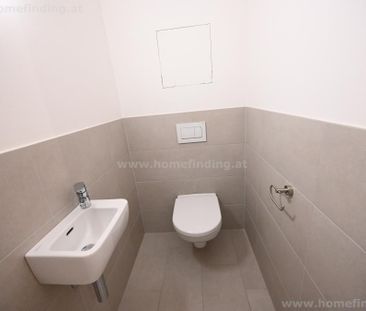 südseitige Gartenwohnung, 2 Zimmer, Garage möglich I befristet - Foto 5