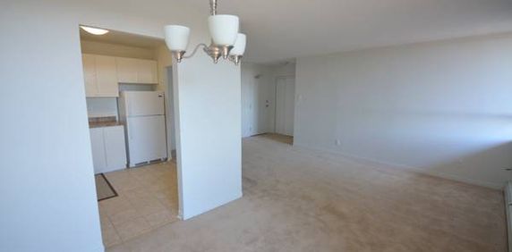 Large 2 Bedroom Apartment with Balcony - Hunt Club & Uplands - Photo 2