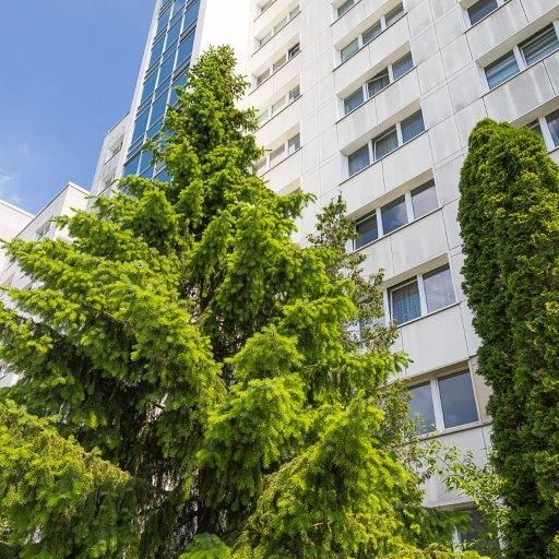 Prohliser Allee 23, 01239 Dresden OT Prohlis-Süd - Photo 1