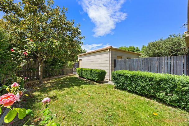 24/46 Paul Coe Crescent, Ngunnawal ACT 2913 - Townhouse For Rent | Domain - Photo 1