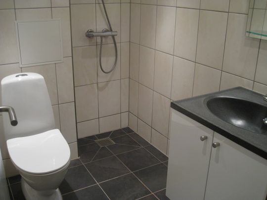 3 værelses – Engelstoftsgade 17. 3. sal – Odense C - Photo 1