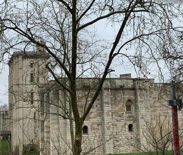 2/3 pièces 40 m2 devant le Château de Vincennes - Photo 1