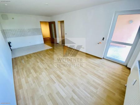 Zentrumsnahe 2-Raum Wohnung mit Südbalkon und Aufzug! Nahe dem HBF und Hochschulen! - Foto 4