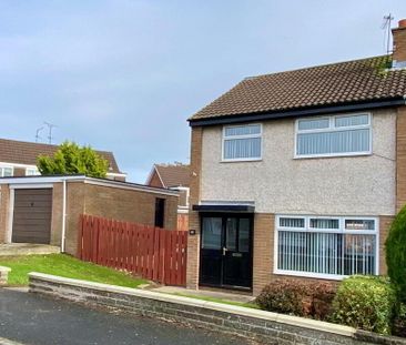 41 Killycomain Drive, Portadown, BT63 5JR - Photo 2