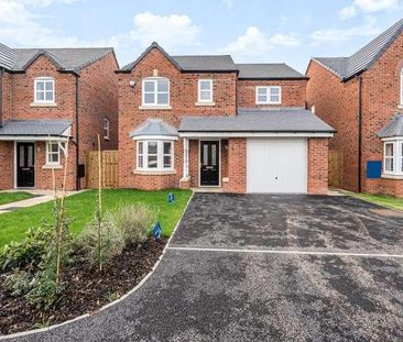 Taylor Lane, Preston, PR4 - Photo 6