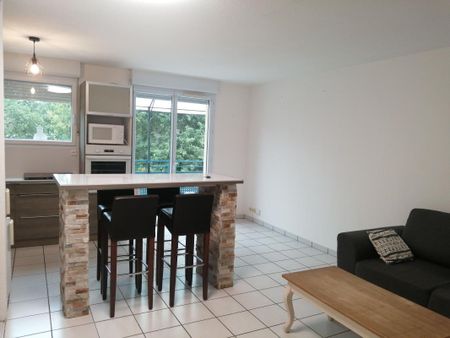 Location Appartement 2 pièces Meublé 45m² ST PIERRE DU MONT 40280 - Photo 4