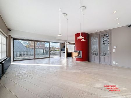 Ruim duplexappartement met prachtig terras - Photo 3