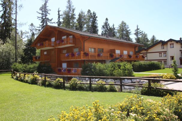 Très beau 4 pièces à louer à l'année ds petit immeuble - Foto 1