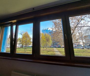 Mieszkanie 1 pokój 26 m² Wrocław-Krzyki - Photo 6