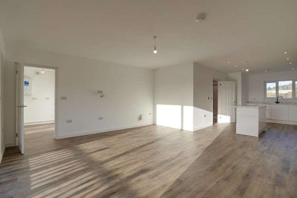 Tribune Drive, Kingsteignton, TQ12 - Photo 1