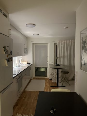 Skillingmyntsgatan, Göteborg - Photo 3