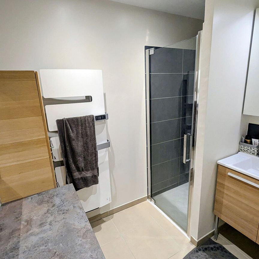 AIX LA DURANNE APPARTEMENT T2 MEUBLE TERRASSE ET GARAGE, - Photo 1