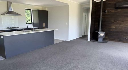 Near New 3 Bedroom Home - Photo 2