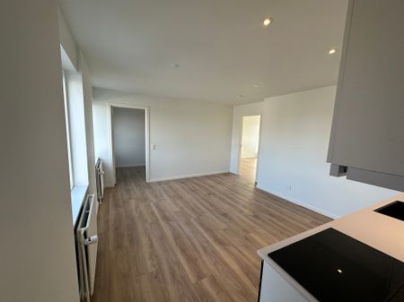 Helt ny-renoveret lejlighed med privat altan - Foto 2