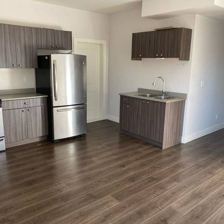 Studio for rent ( $1,300 ) in Fraser Heights - Photo 1